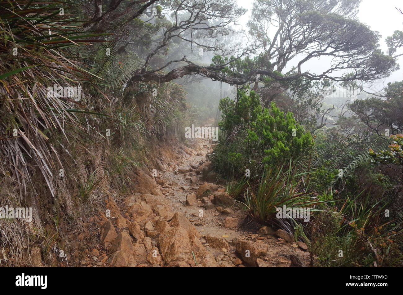 Le Mont Kinabalu un site du patrimoine mondial Banque D'Images