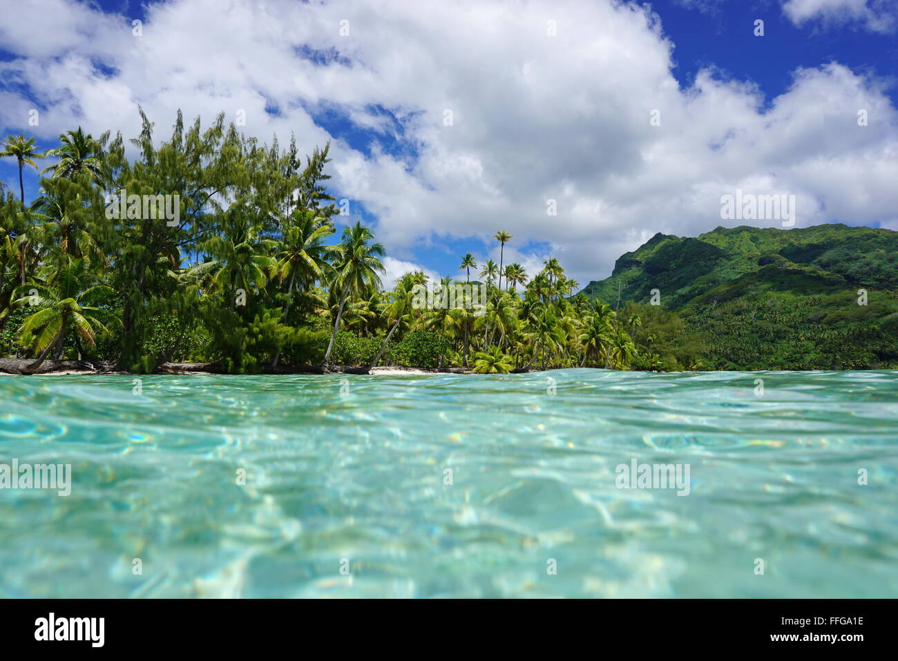 Côte tropicale avec de la végétation verte vu à partir de la surface de l'eau dans le Lagon de Huahine, l'île de l'océan Pacifique, Polynésie Française Banque D'Images