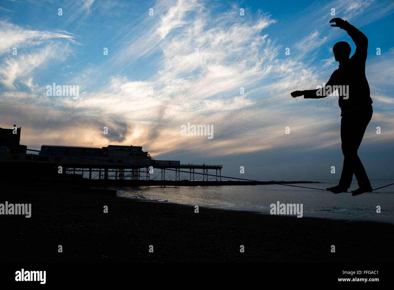 Pays de Galles Aberystwyth UK, Satrurday 13 Feb 2016 Aberystwyth University étudiant diplômé ROWAN POCOCK promenades en silhouette sur sa slackline comme derrière lui le murmuration d'étourneaux retourne se percher pour la nuit sur la jetée de Aberystwyth Photo © Keith Morris Banque D'Images