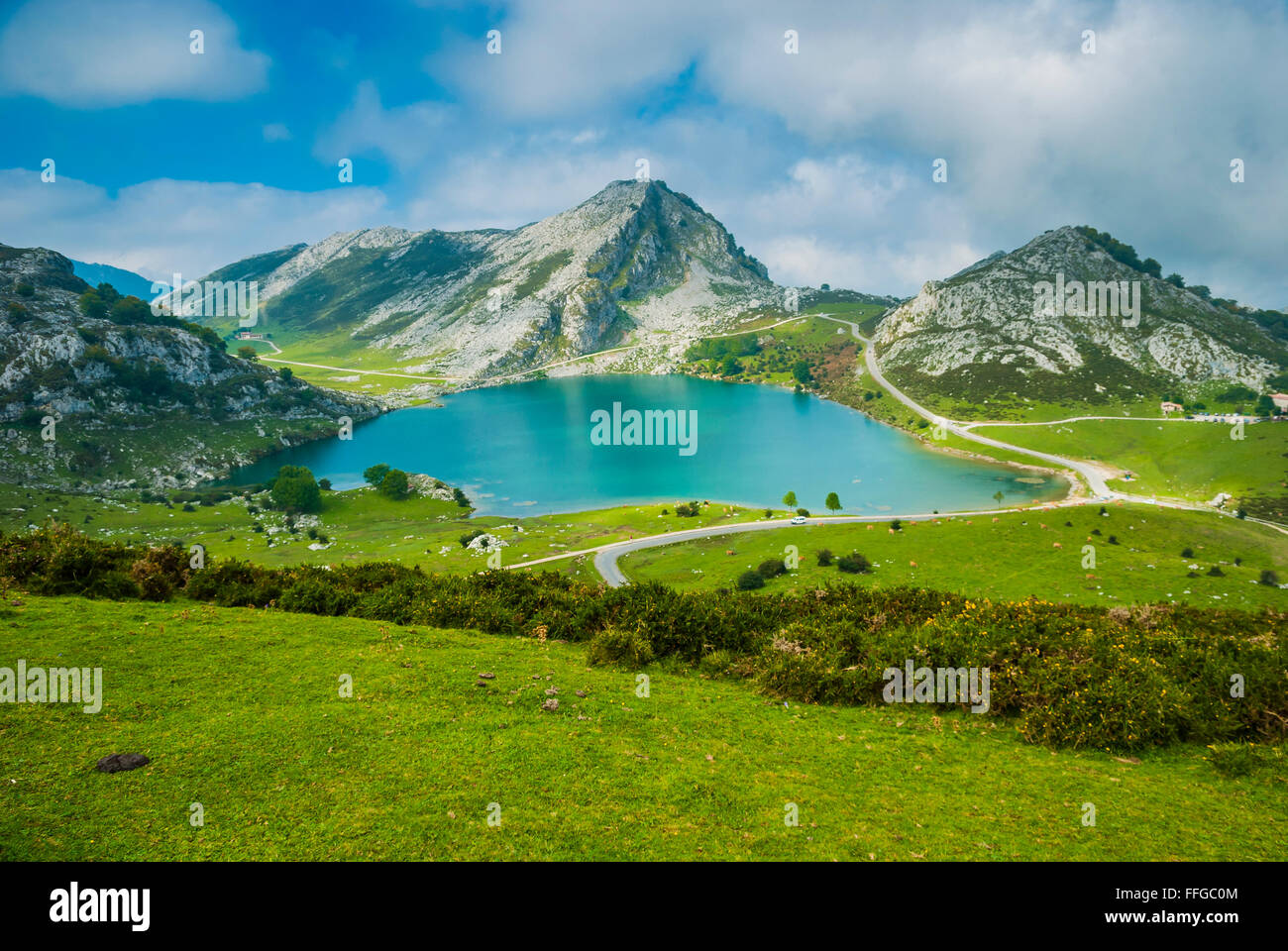 L'énol du lac. Les Lacs de Covadonga sont composés de deux lacs glaciaires  situés sur la région des Asturies, en Espagne Photo Stock - Alamy