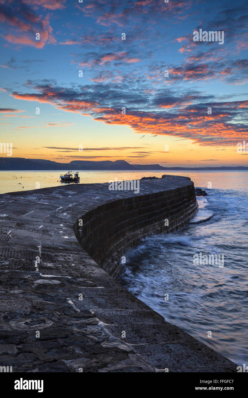 La Cobb à Lyme Regis, sur la côte sud du Dorset, capturé au lever du soleil en septembre. Banque D'Images