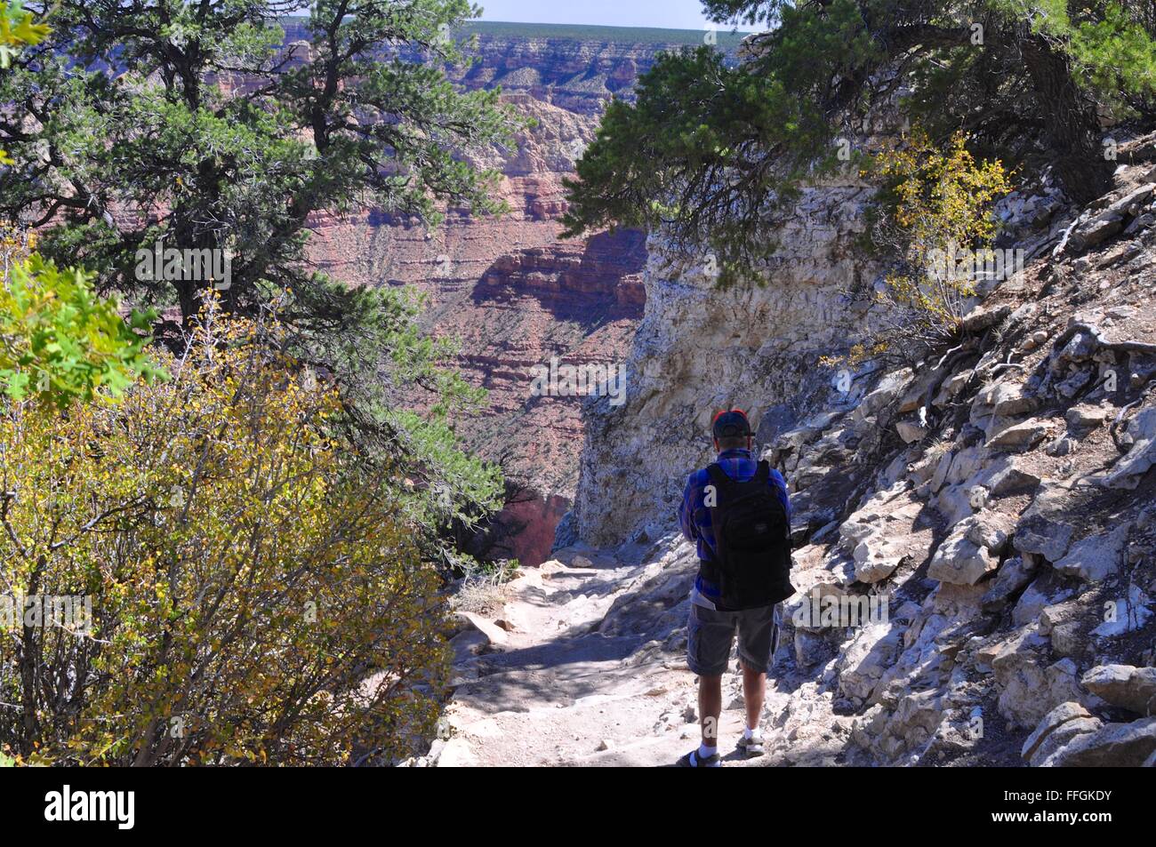 Le Grandview Trail, le Parc National du Grand Canyon, Arizona Banque D'Images