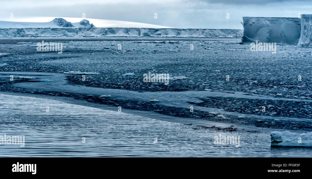 La péninsule antarctique Icebergs tabulaires et la glace de mer Banque D'Images