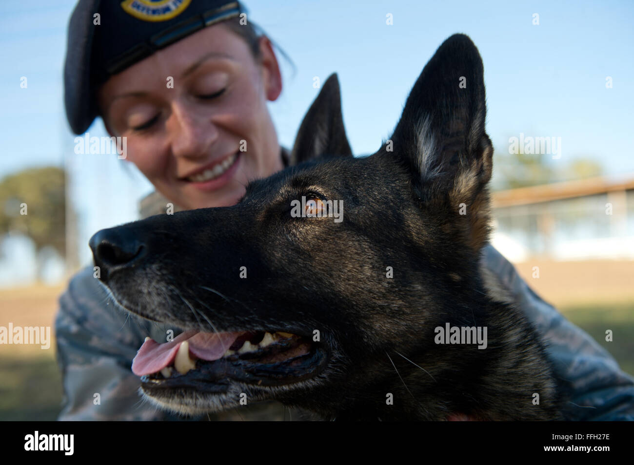 Airman Senior LaFever Chelsea, un conducteur de chien de travail 