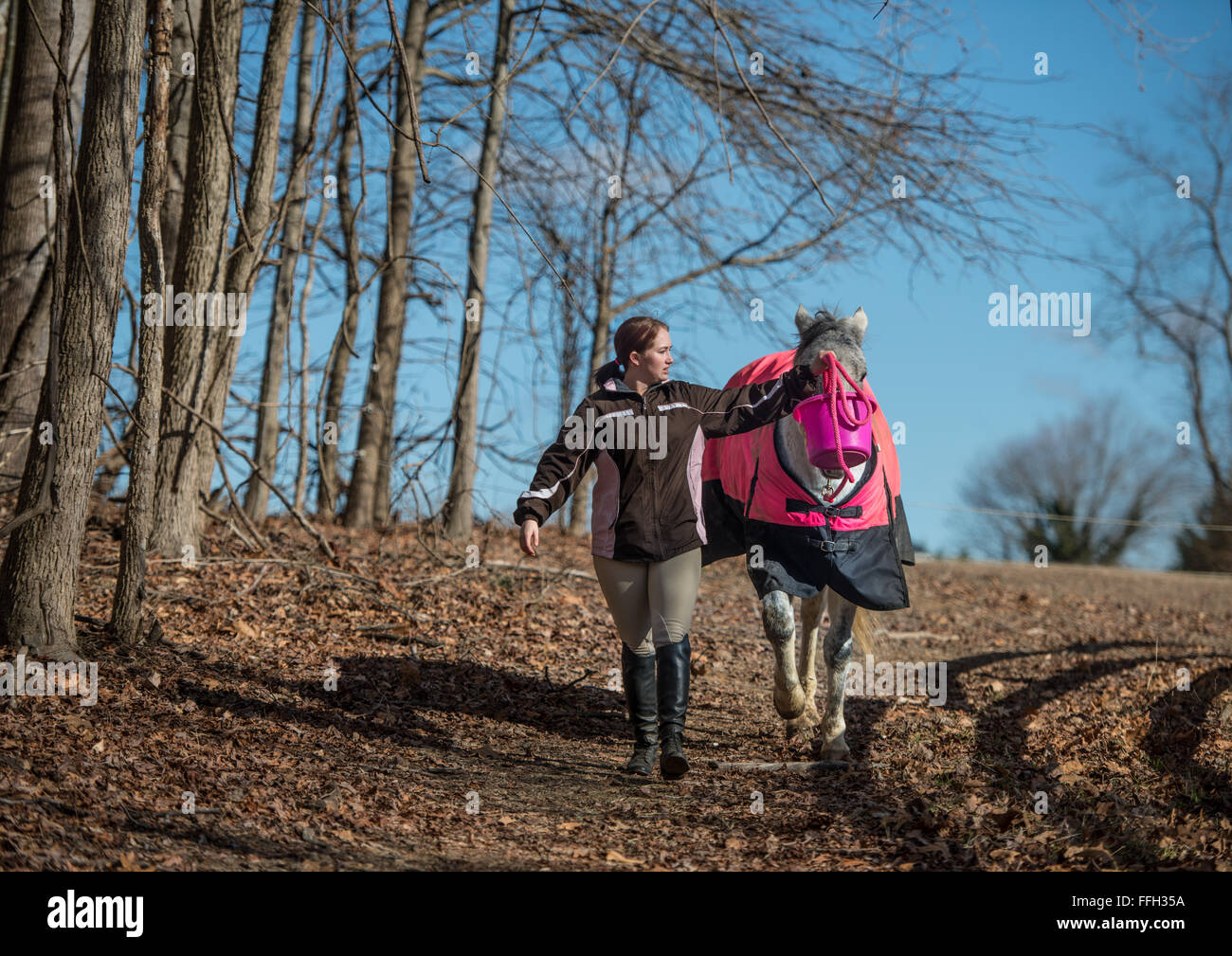 Navigant de première classe Kaitlyn guides Evans son cheval Kobalt avant de laver lui dans Lothian, Maryland. Evans, un 11e Escadron des Forces de sécurité à l'agent de la base aérienne d'Andrews, dans le Maryland, passe temps à laver, école et formation avec Kobalt durant les heures hors-service alors qu'elle se prépare pour des concours à l'avenir. Banque D'Images