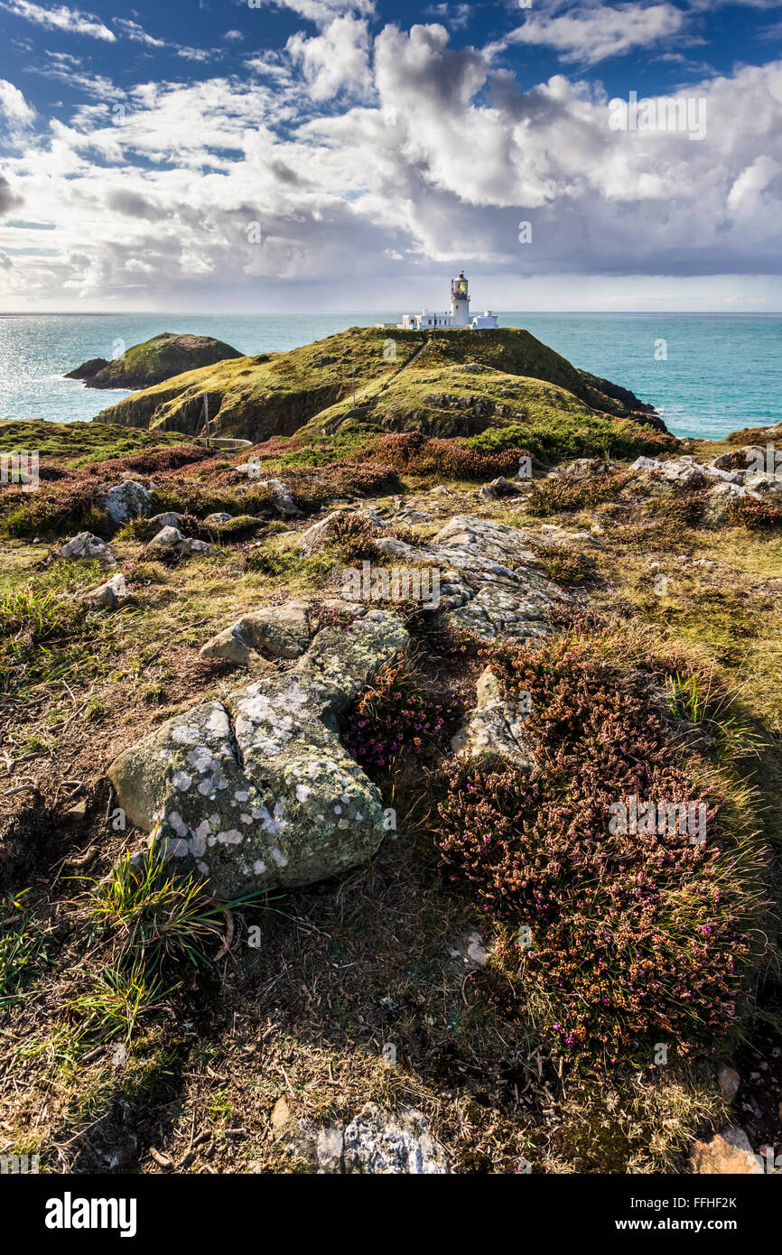 Strumble Head Lighthouse à Pembrokeshire, Pays de Galles Royaume-uni sur une journée ensoleillée d'automne. Banque D'Images