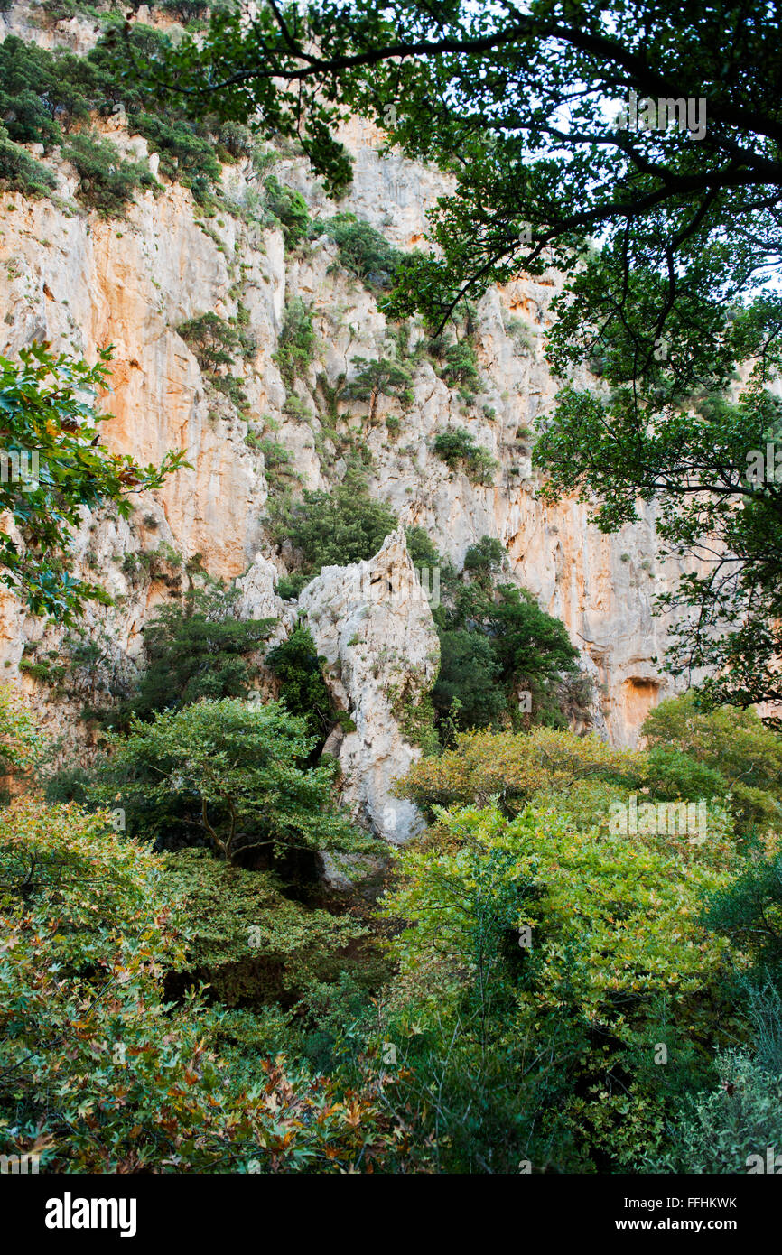 Spanien, Kreta, Agios Antonios-Schlucht bei Karines südlich von Rethymnon. Banque D'Images