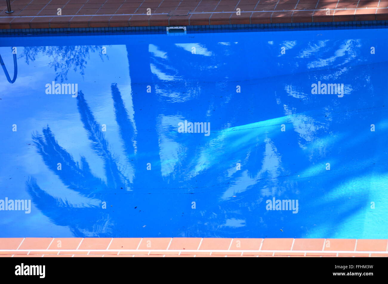 Réflexions dans une piscine, Banque D'Images