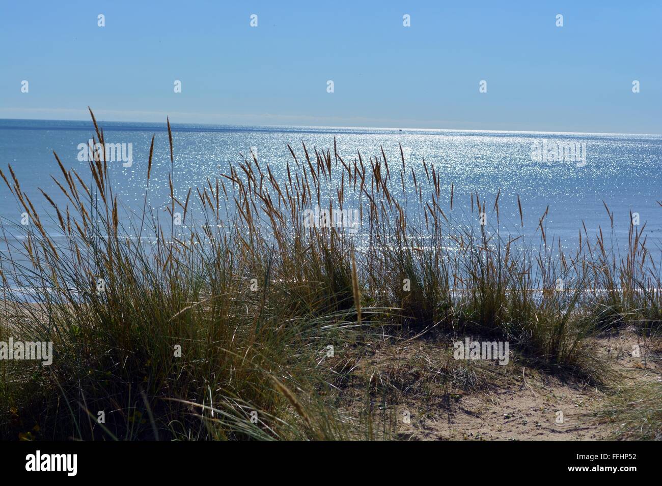 Les dunes de sable et une mer étincelante à Camber Sands dans le Sussex, England, UK Banque D'Images