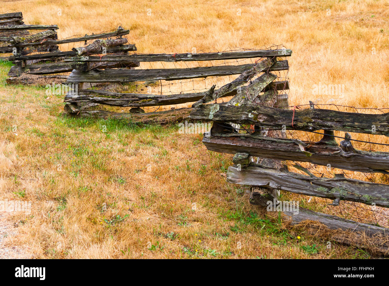 Western-style rustique zig-zag clôture en bois vu sur Salt Spring Island, Colombie-Britannique, Canada Banque D'Images