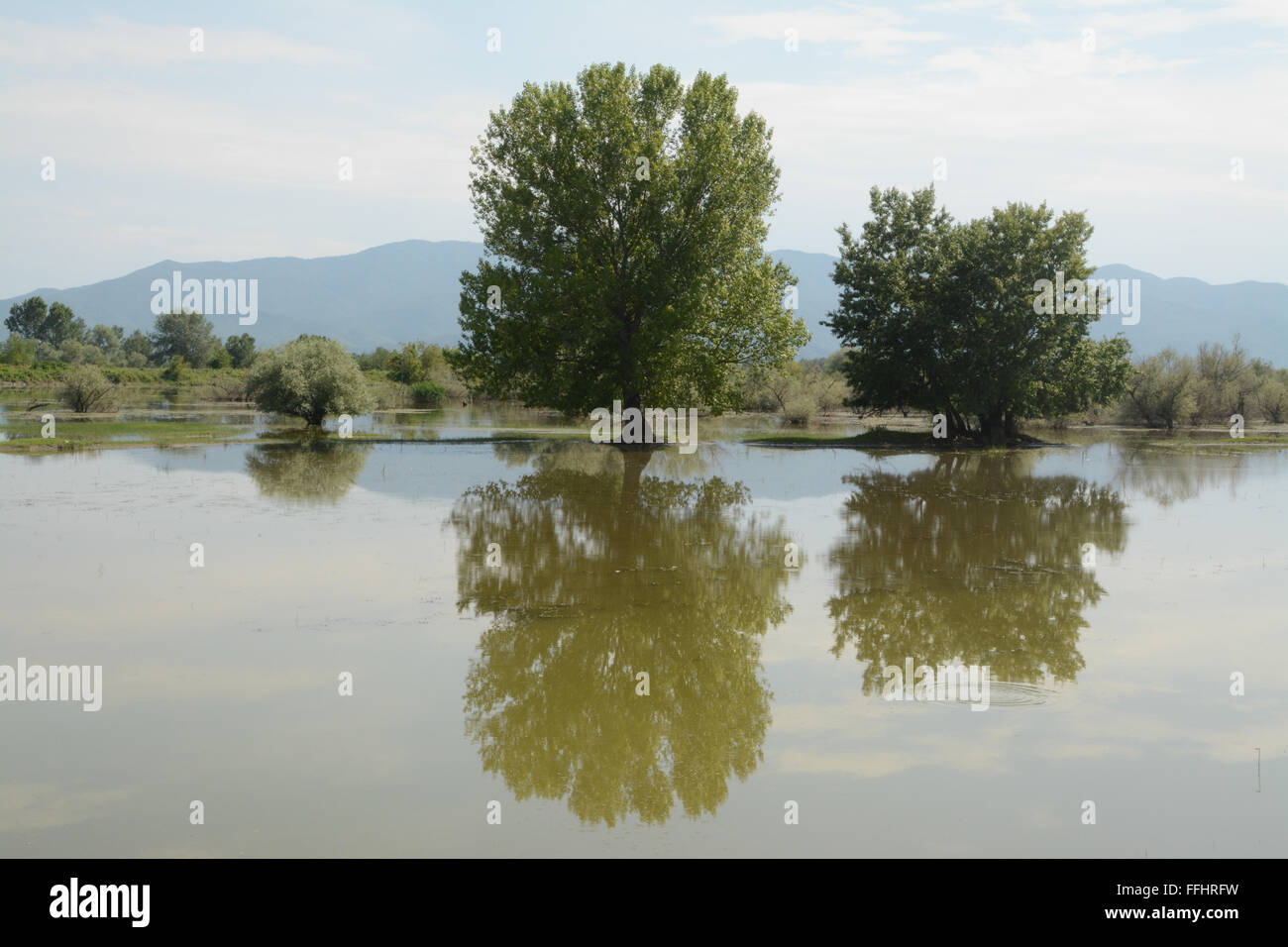 Paysage grec au lac Kerkini en été, avec des reflets d'arbres et de montagnes Banque D'Images