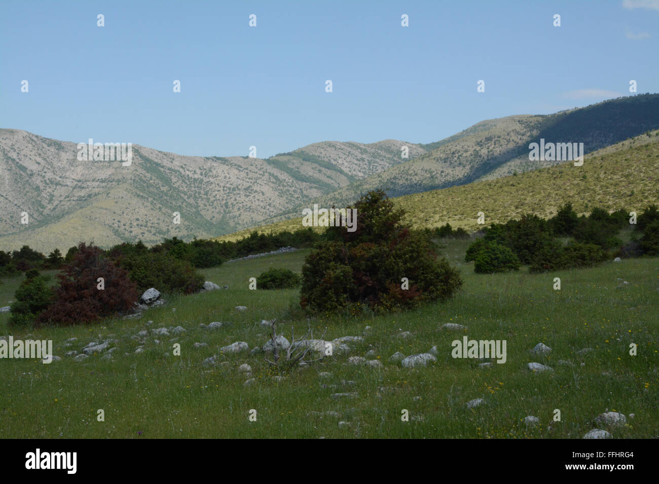 Pied du Mont Orvilos dans le Nord de la Grèce. Paysage avec des arbres et des montagnes en arrière-plan. Banque D'Images