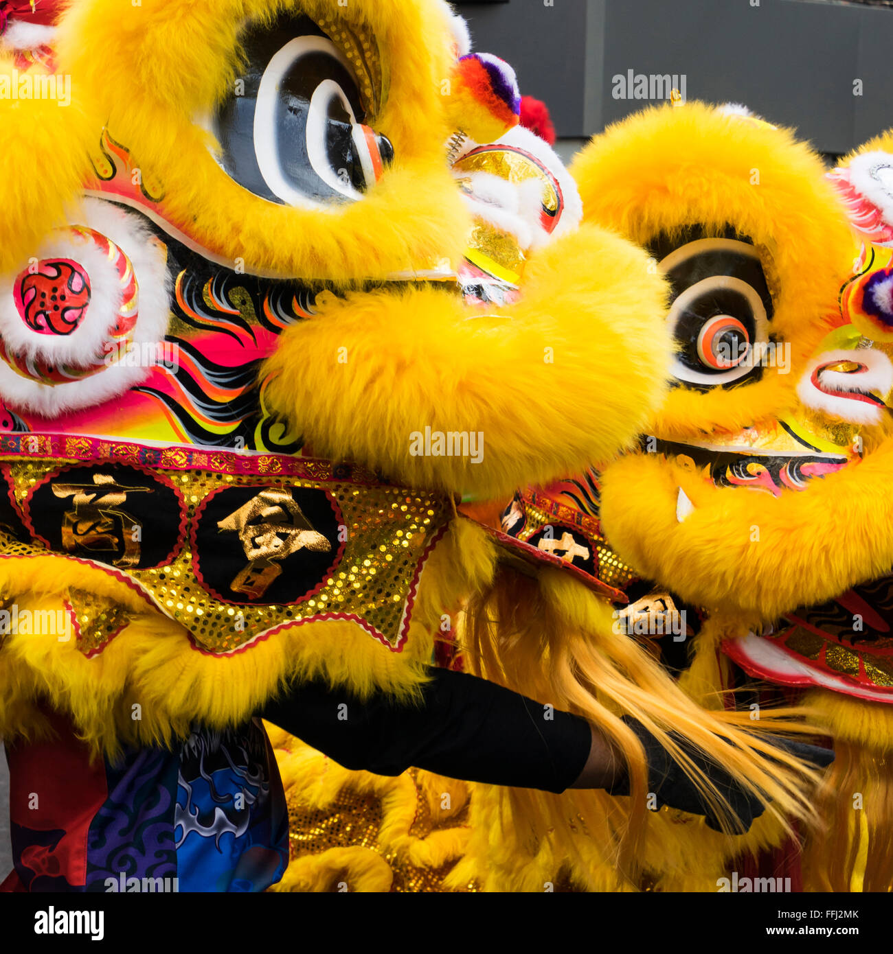 Londres, Royaume-Uni. 14 Février, 2016. Les célébrations du Nouvel An chinois, Londres, UK CHINATOWN L'ANNÉE DU SINGE 2016 Credit : PATRICK ANTHONISZ/Alamy Live News Banque D'Images