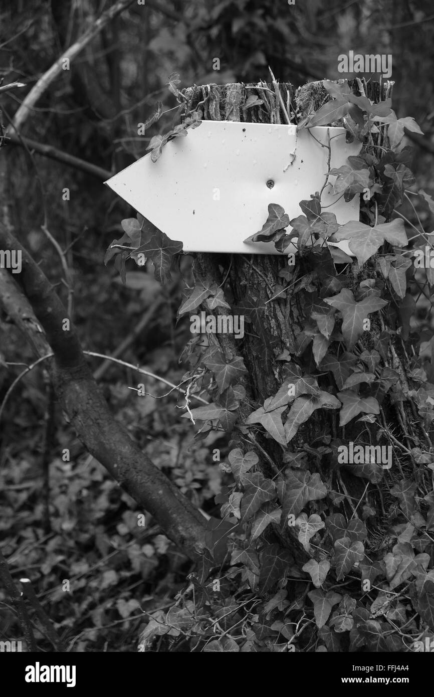 Petit panneau blanc blanc fixé sur un arbre, prêt à vous d'ajouter votre propre texte ou dessin. 14 février 2016 Banque D'Images