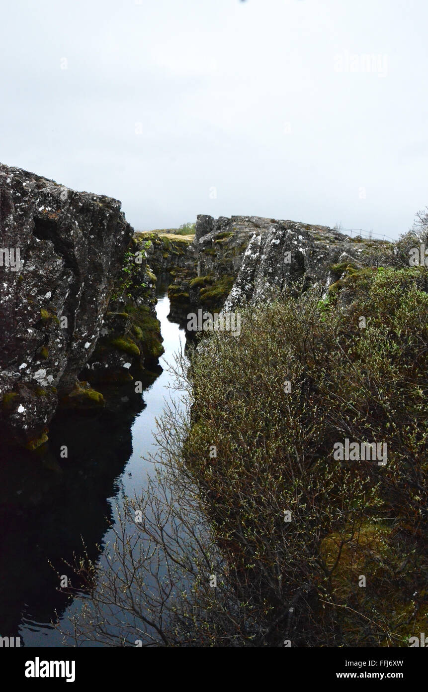 Þingvellir, Islande - 17 juin : l'une des fissures dans le Parc National de Thingvellir, d'Islande, est indiqué le 17 juin 2015. Banque D'Images
