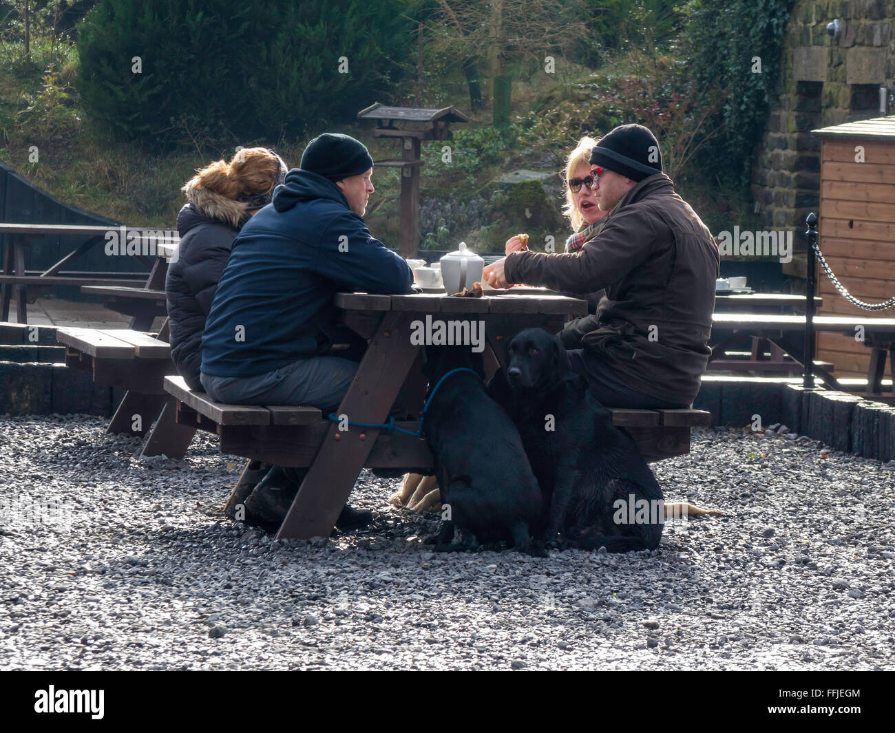 Les randonneurs prenant le thé et des sandwichs au Seigneur Stones Café Carlton à Cleveland à l'extérieur avec deux chiens Labrador en hiver Banque D'Images