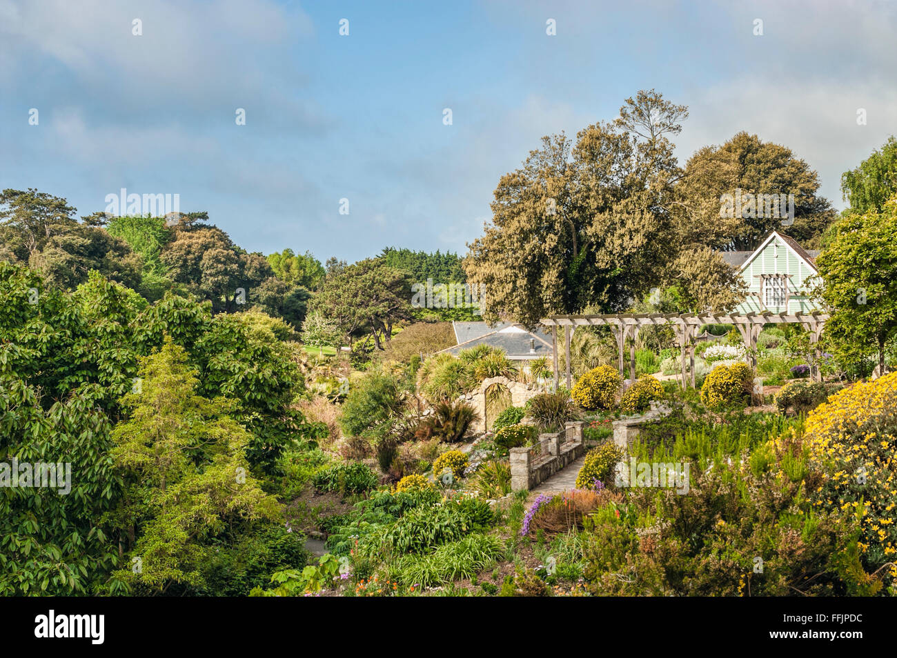 Jardins botaniques de Ventnor à l'île de Wight, Angleterre du Sud Banque D'Images