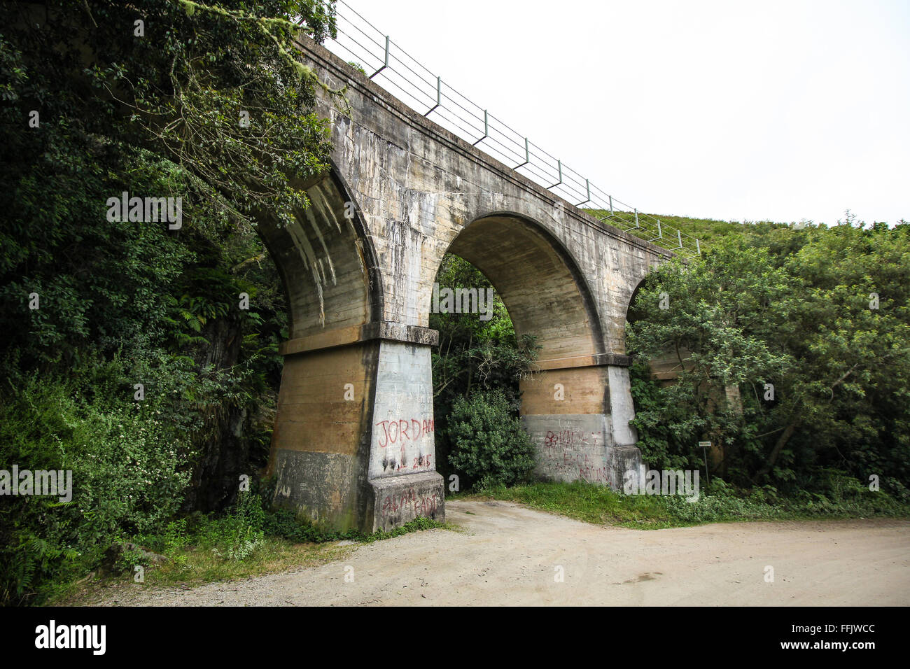 C'est un vieux pont de chemin de fer abandonnée et qui s'étend le long de l'Outeniqua Mountain en Afrique du Sud Banque D'Images