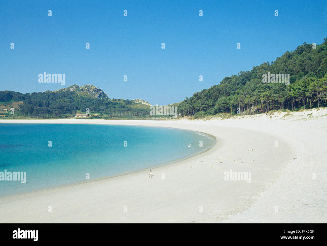 Plage de Rodas. Des îles Cies, parc national des Îles de l'Atlantique, province de Pontevedra, Vigo, Galice, Espagne. Banque D'Images