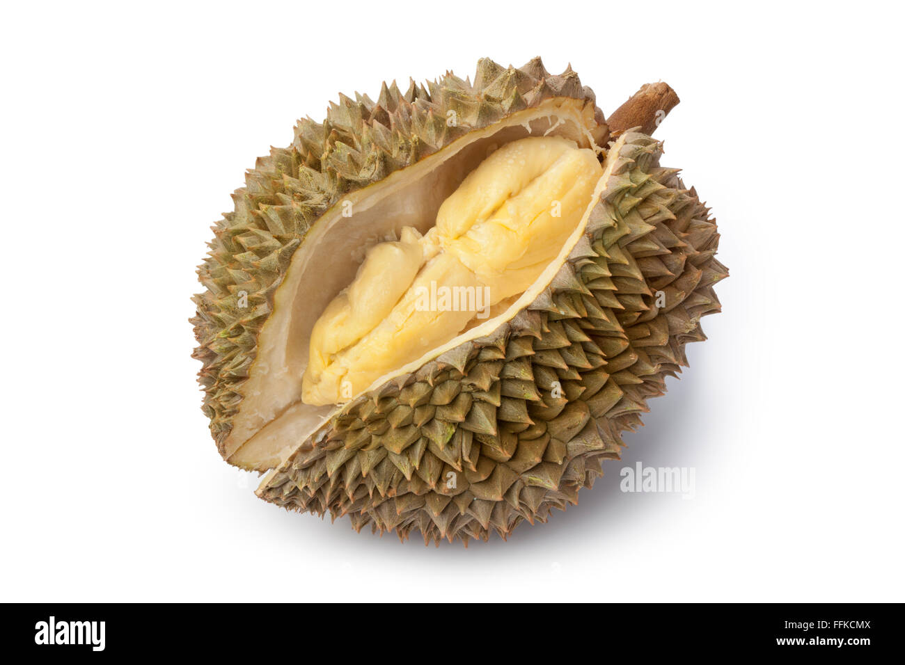 Fresh Durian fruit sur fond blanc Banque D'Images