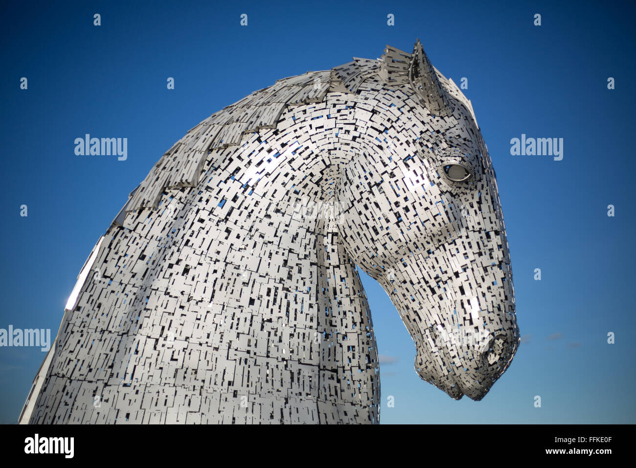 'Le cheval' Kelpies sculpteur sculpture par Andy Scott, à l'Hélix Park, à Falkirk, en Écosse. Banque D'Images