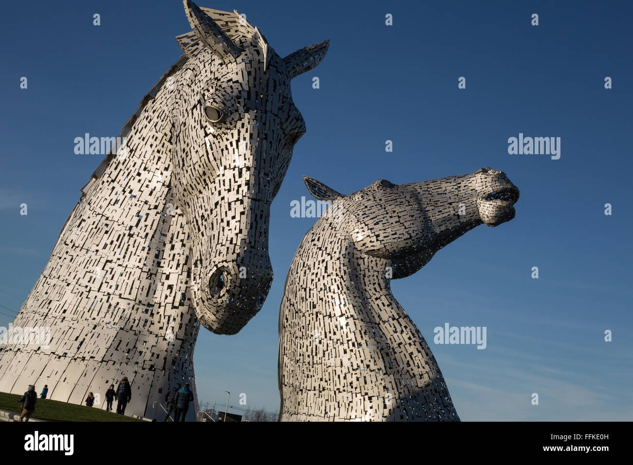 'Le cheval' Kelpies sculpteur sculpture par Andy Scott, à l'Hélix Park, à Falkirk, en Écosse. Banque D'Images