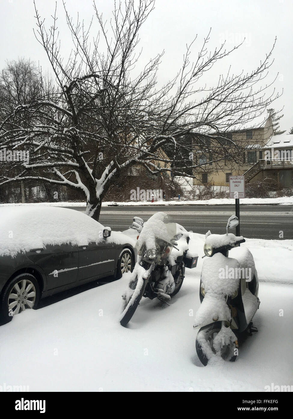 Annandale, VA, USAA. Feb 15, 2016. La neige est une fois de plus de tomber dans l'ensemble Central Virginia lundi, 15 février 2016. De nombreuses écoles de la région sont déjà fermés en raison de la maison de vacances ; d'autres qui étaient ouvertes ont changé leurs horaires. Le National Weather Service à Wakefield explique la faible neige vont continuer à baisser pendant quelques heures puis passage à la neige et la pluie verglaçante avant de tourner dans tous les Lundi en fin d'après-midi de pluie. © Probal Rashid/ZUMA/Alamy Fil Live News Banque D'Images