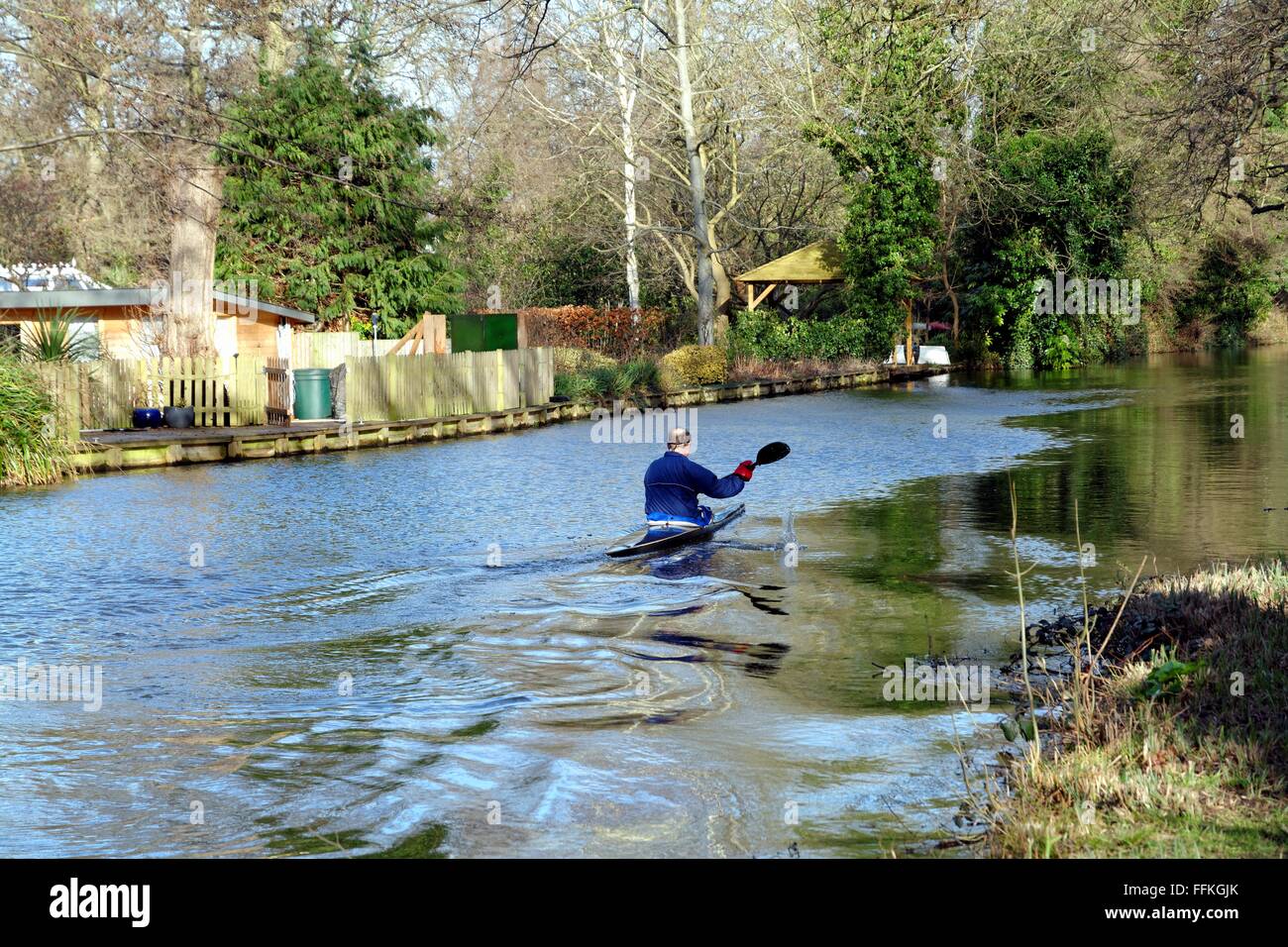 Homme célibataire canoë sur la rivière Wey Byfleet Surrey navigation Banque D'Images