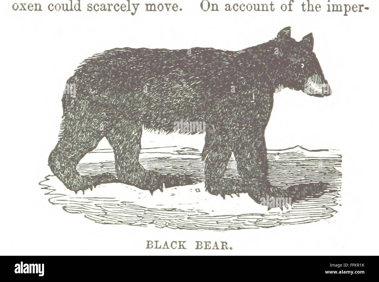 Ce livre vintage offre un récit historique de la Californie, de sa conquête par l’Espagne à son occupation par les États-Unis. Il couvre les événements importants, les personnes et les changements culturels qui ont façonné les débuts de l'histoire de l'État. Banque D'Images