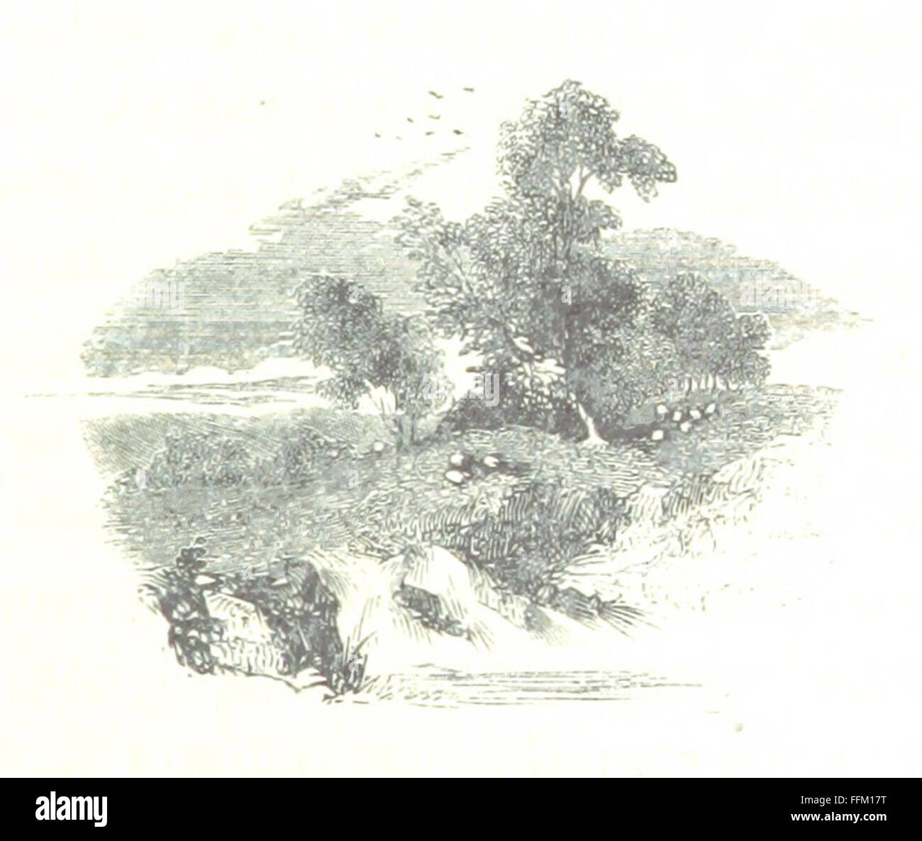 Ce livre vintage explore la Tamise et ses affluents, offrant des comptes rendus détaillés des rivières et des villes et monuments le long d'eux. Banque D'Images