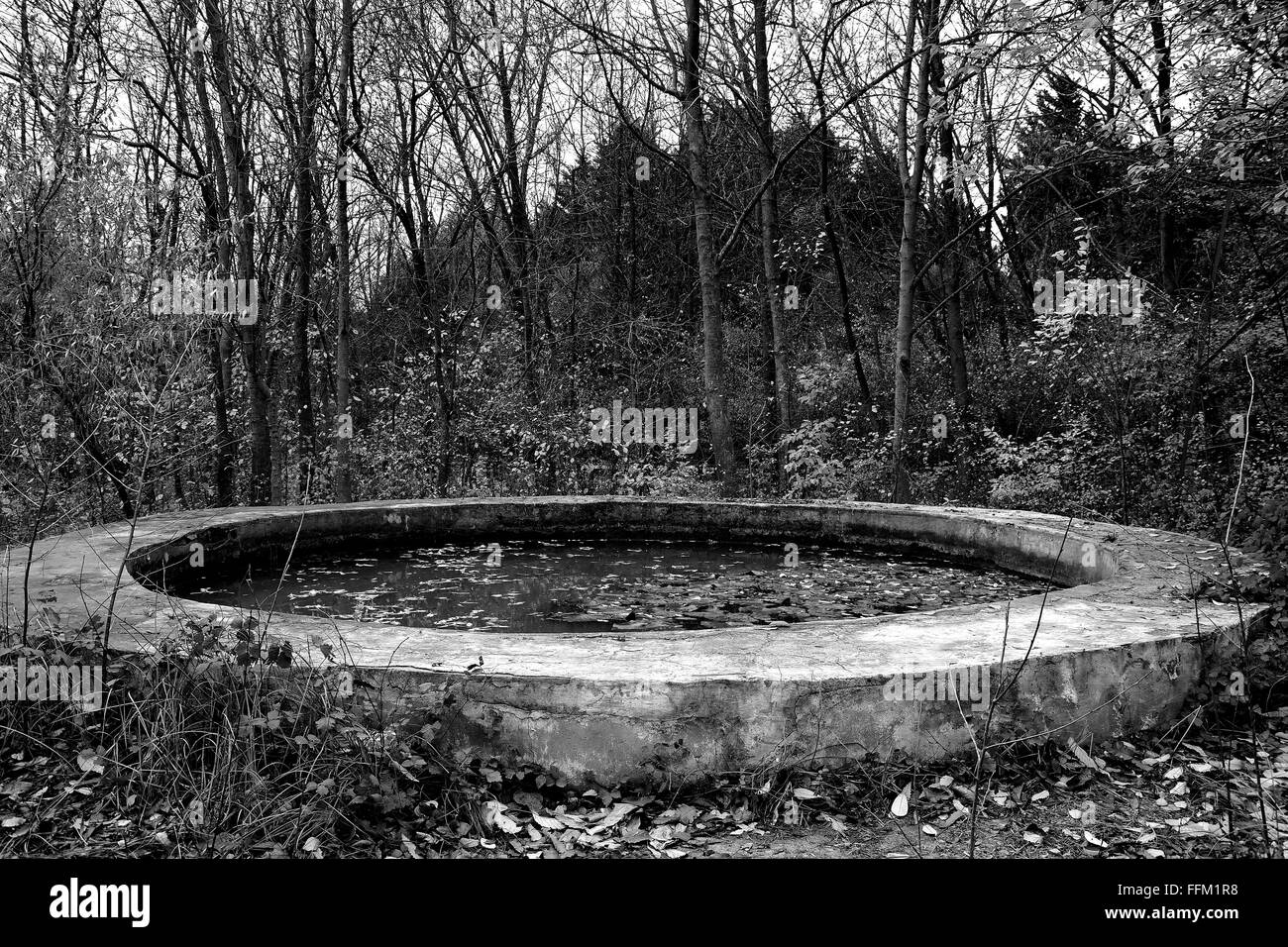 Ancien étang abandonnés et oubliés. Un étang est recouvert de béton et en mauvais état en raison de l'absence de soins et d'attention Banque D'Images