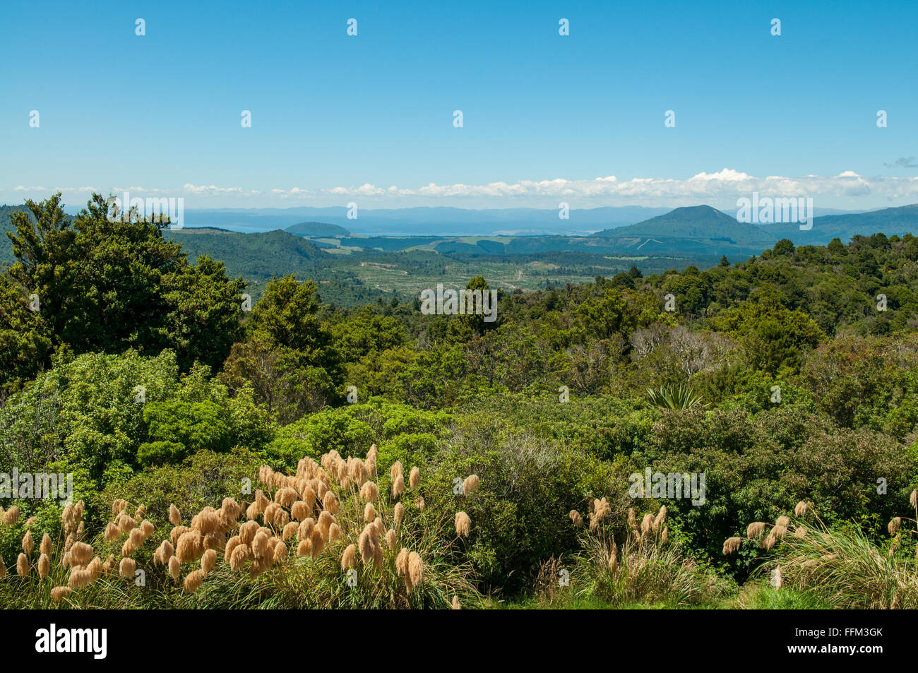 Vue sur le lac Taupo de près de Kuratau, Waikato, Nouvelle-Zélande Banque D'Images