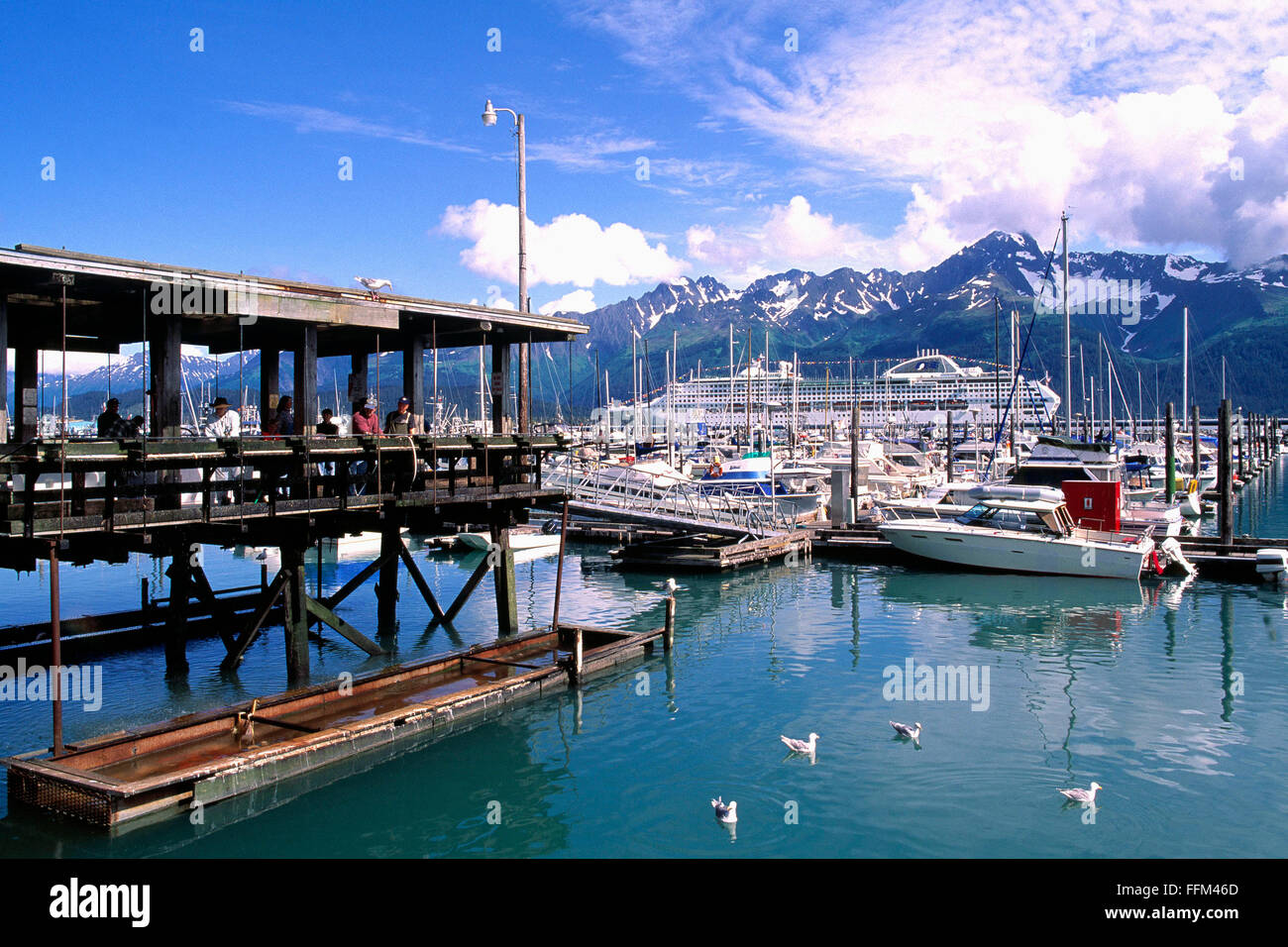 Seward, Alaska, USA - les bateaux de plaisance et des navires de croisière amarré dans le port, les pêcheurs de nettoyer le poisson sur le quai, la péninsule Kenai Banque D'Images