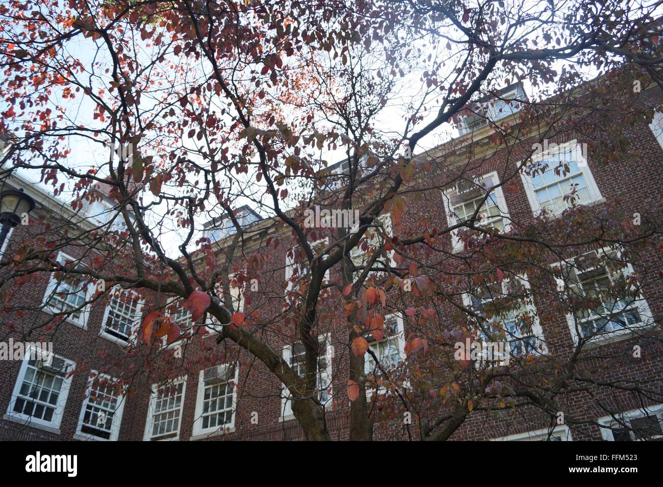 Une photo de mon collège à partir de la vue du bas. Banque D'Images