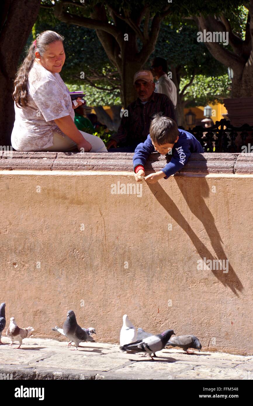 Un jeune garçon se nourrit les pigeons Banque D'Images