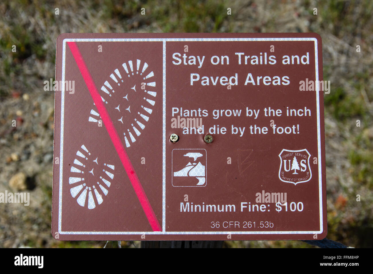 Inscrivez-avertissement pour rester dans les sentiers pour éviter d'endommager les plantes sensibles. Le Mont St Helens Monument Volcanique National Banque D'Images