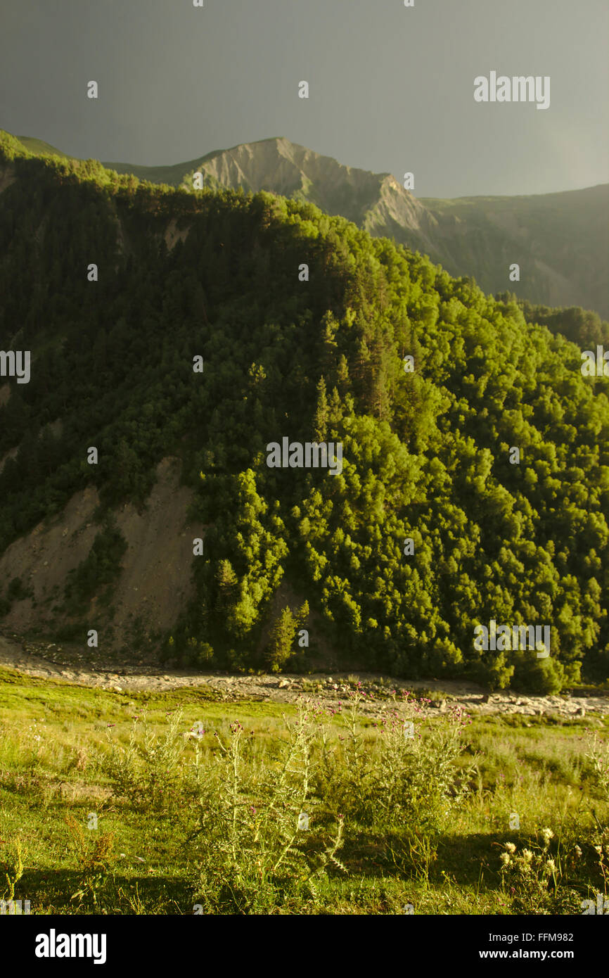 Soirée ambiance avec une lumière chaude et de sombres nuages dans la vallée d'Adishi, Upper Svaneti, Mestia-Ushguli-Trek, Géorgie Banque D'Images