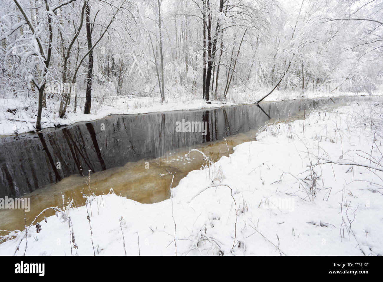 Les arbres couverts de neige le long de la rivière en hiver paysage. L'Estonie, Europe Banque D'Images
