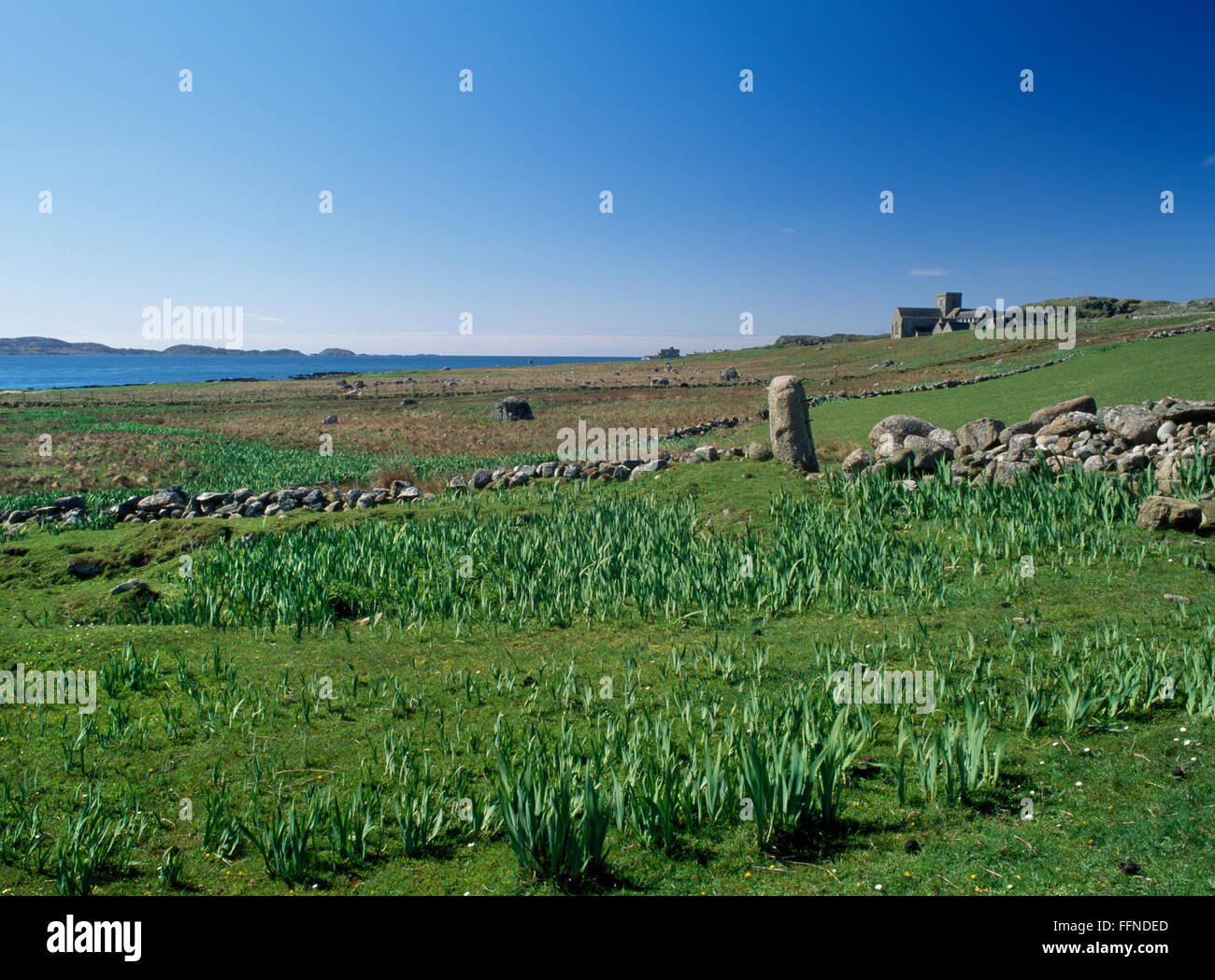 Voir SW sur les restes d'un Cladh Disirt-inhumation (lieu de l'Ermitage) à l'abbaye d'Iona & le son d'Iona avec Mull au-delà. Banque D'Images