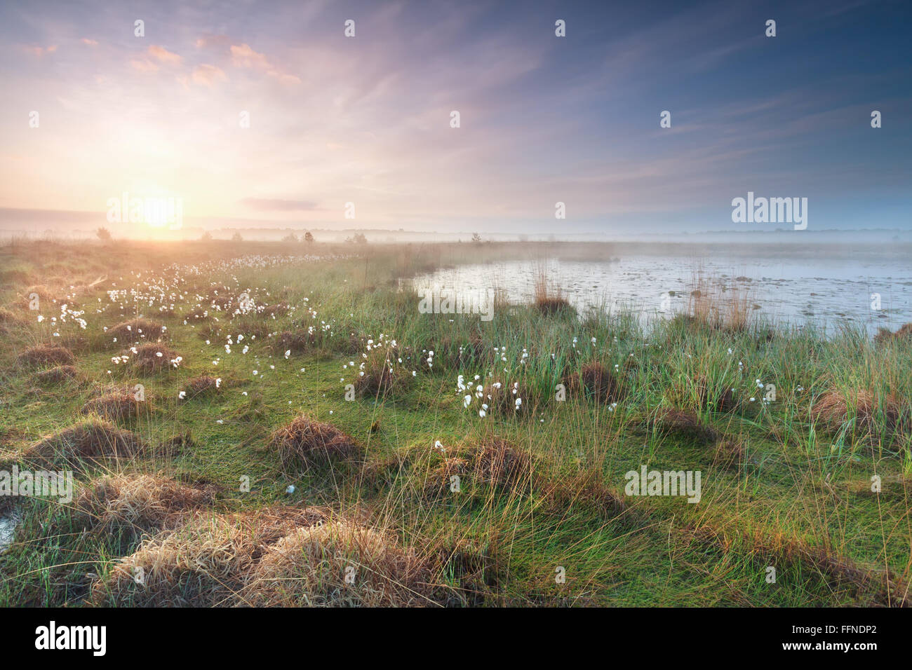 Lever de soleil sur misty swamp au printemps, au nord Braband, Pays-Bas Banque D'Images