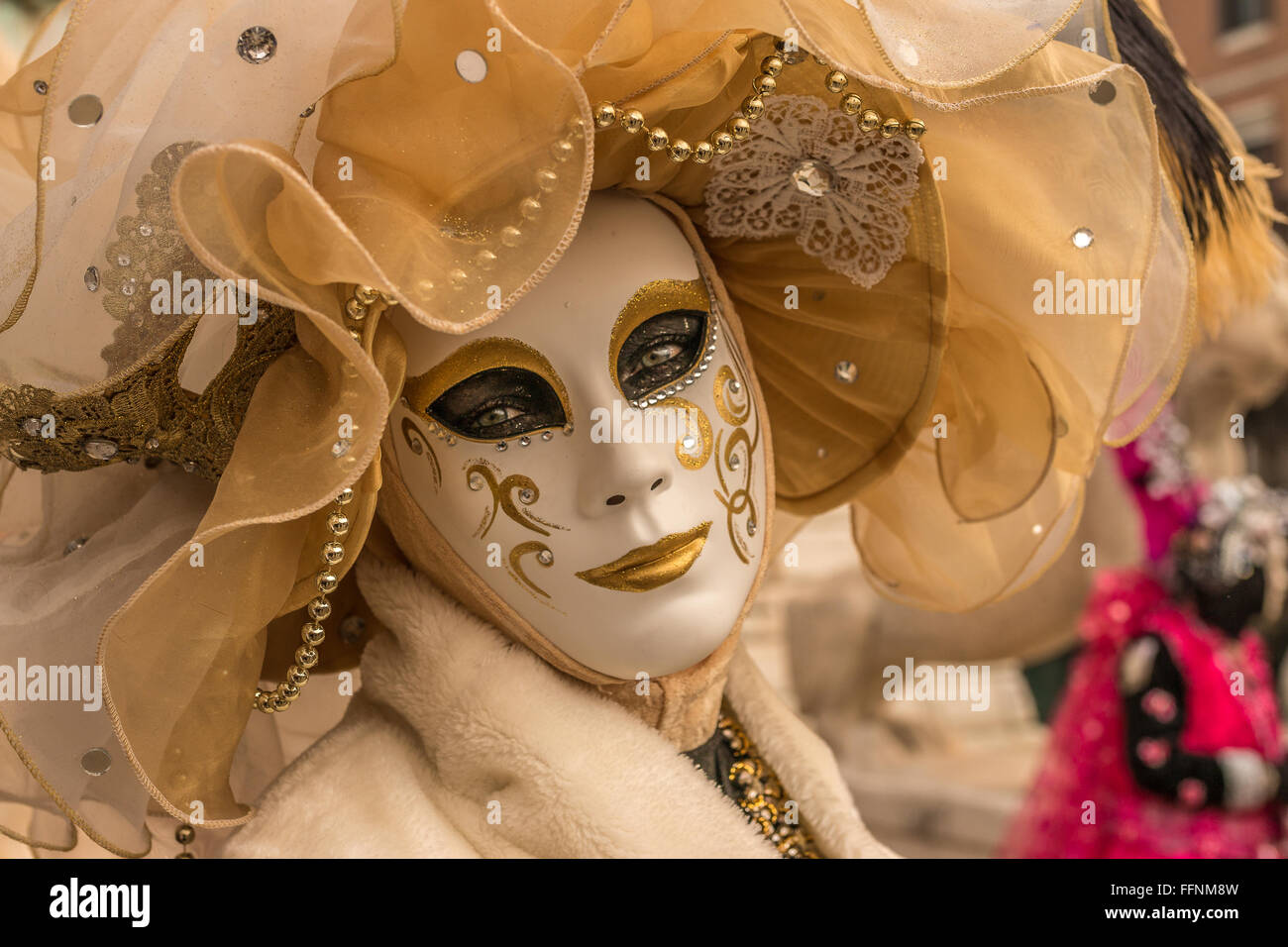 Carnaval de Venise masque et costume Banque D'Images