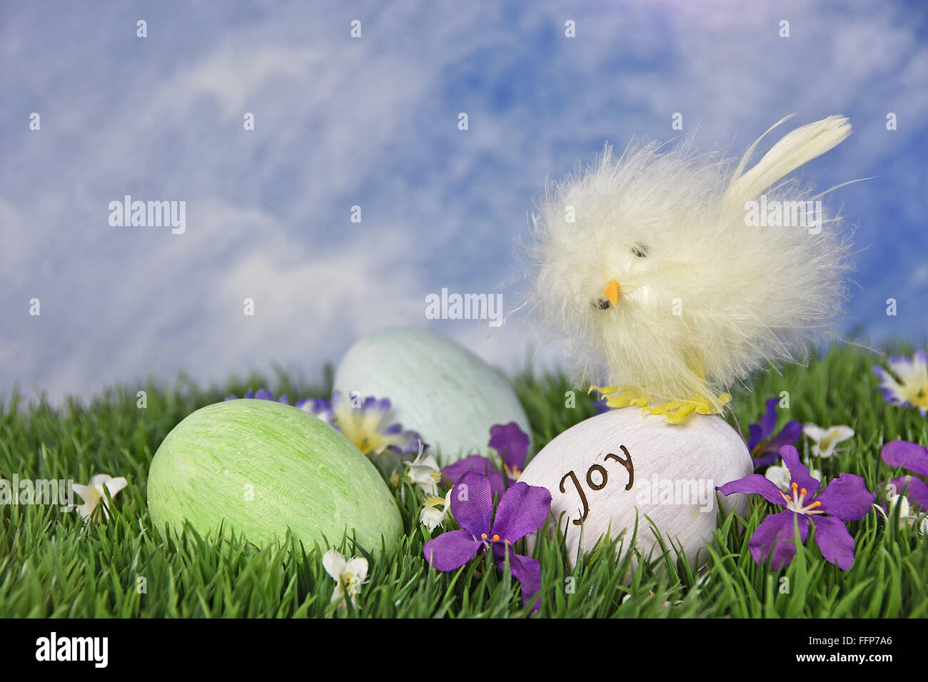 Cute chick sur oeuf de Pâques dans l'herbe avec les fleurs du printemps. Banque D'Images