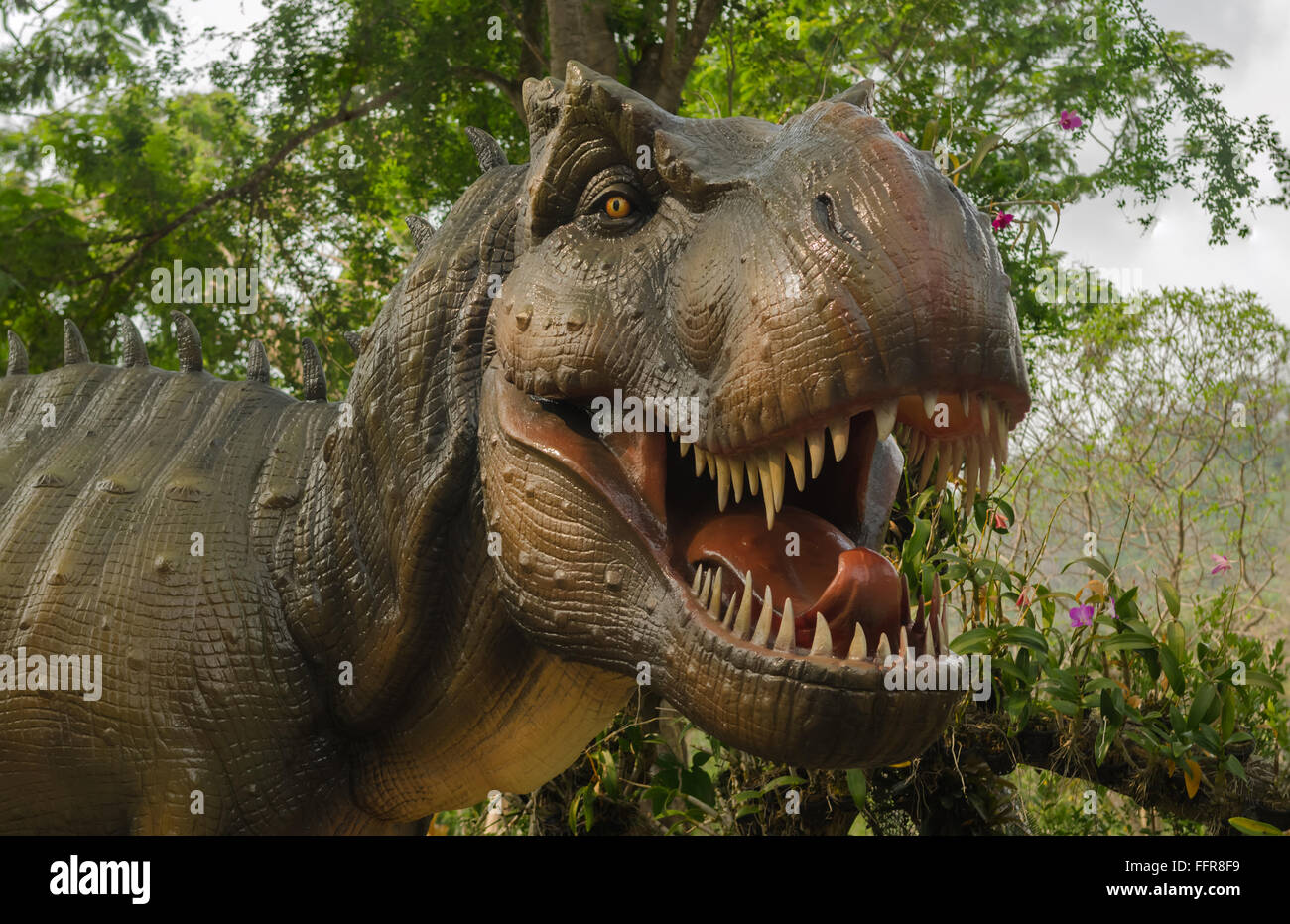 Modèle T Rex agressif de dinosaures. Banque D'Images