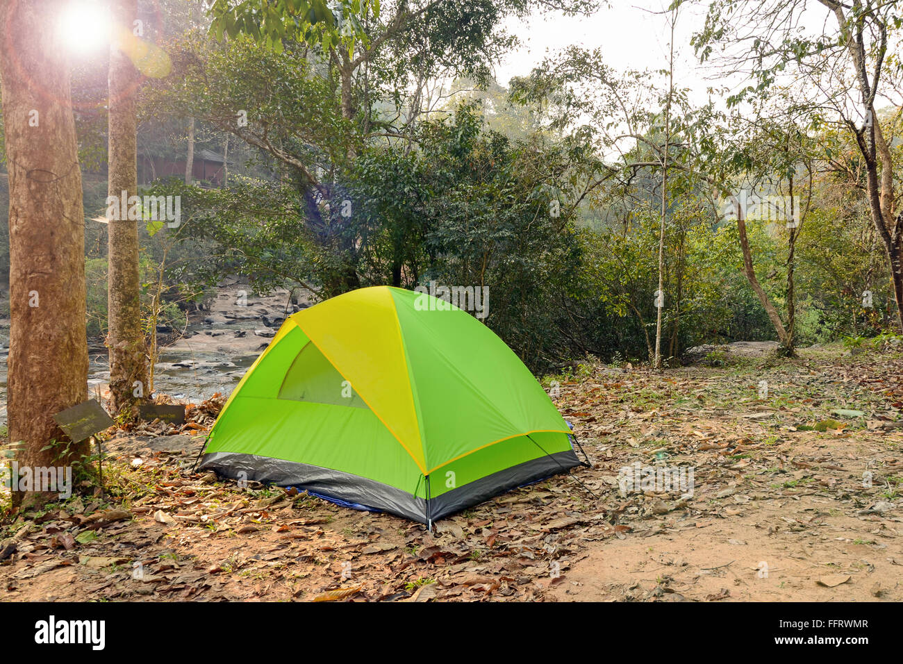 Les tentes de camping sous les grands arbres dans le parc national. Banque D'Images