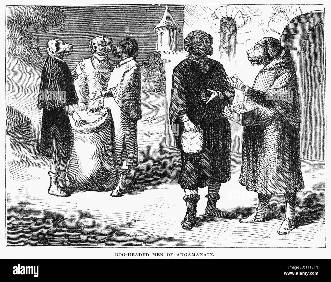 Павиан-кинокефал. Земля где все люди с песьими головами. Земля где все люди с песьими головами. Песиголовцы. Земля где все люди с песьими головами.