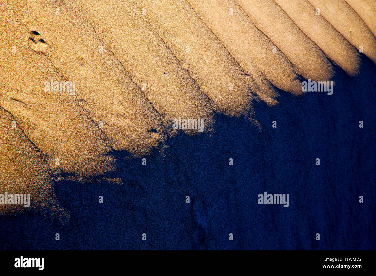 En Lanzarote Espagne résumé d'une texture de sable sec et la plage Banque D'Images