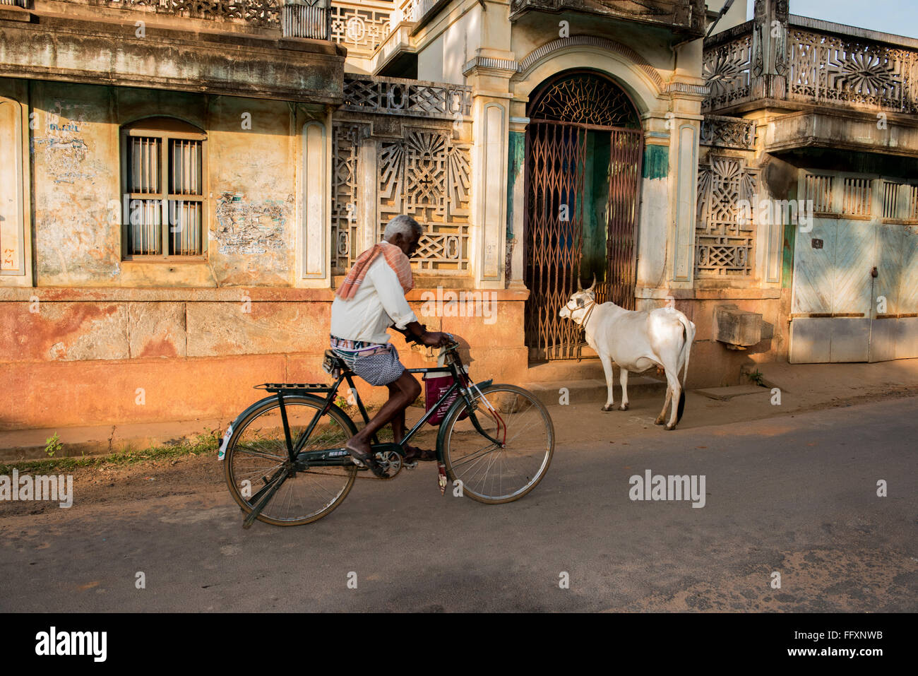 Un Indien passé cycles un merchants house et un taureau dans le village d'Kundrikudy près de Chettinad, Tamil Nadu, Inde Asie Banque D'Images
