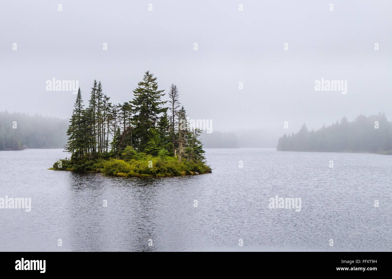 Le Lac Bennett dans un jour brumeux, le Parc National de Fundy, Nouveau-Brunswick, Canada Banque D'Images