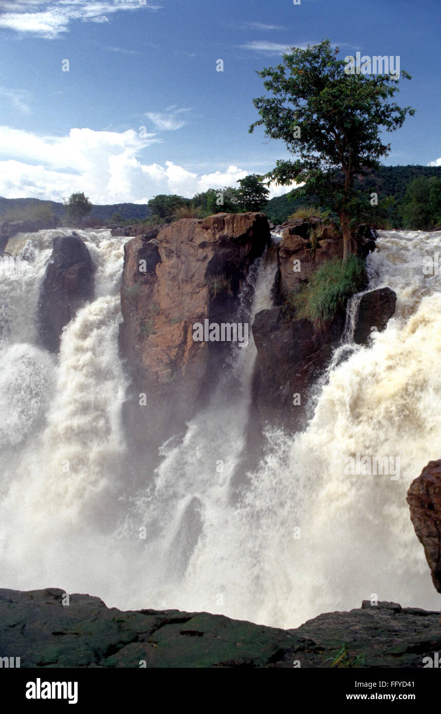 Hogenakkal falls ; Tamil Nadu Inde ; Banque D'Images