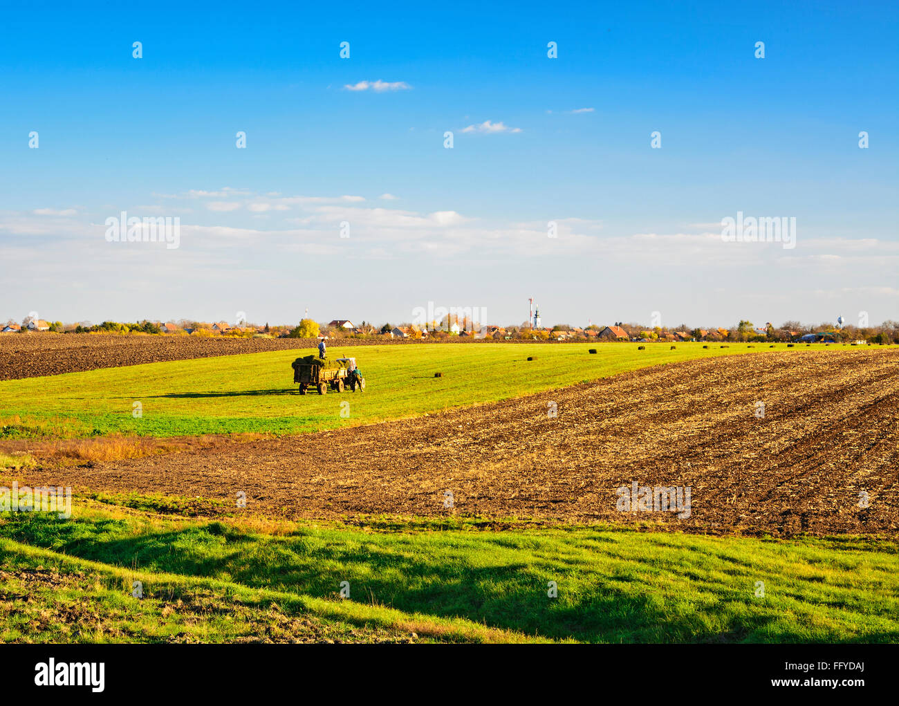 Les travaux agricoles dans le domaine avant le coucher du soleil. Banque D'Images